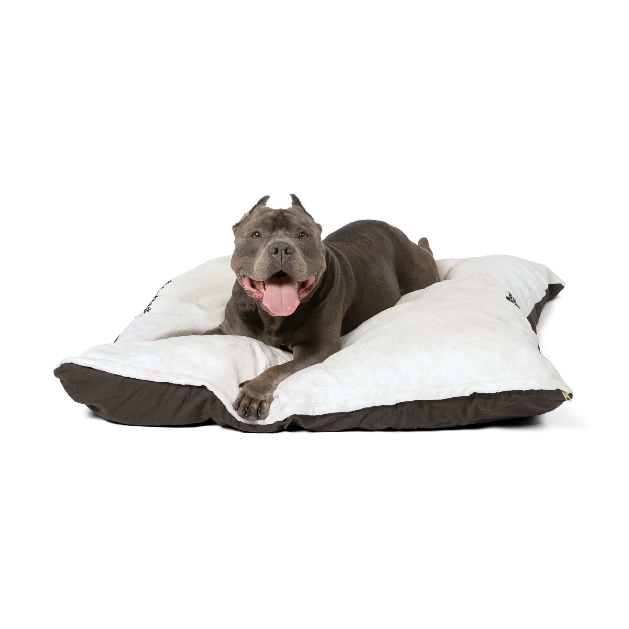Right to Remain Silent, Not the Ability Pet Bed with Humorous Quote - Perfect for Dog Lovers - Image 7