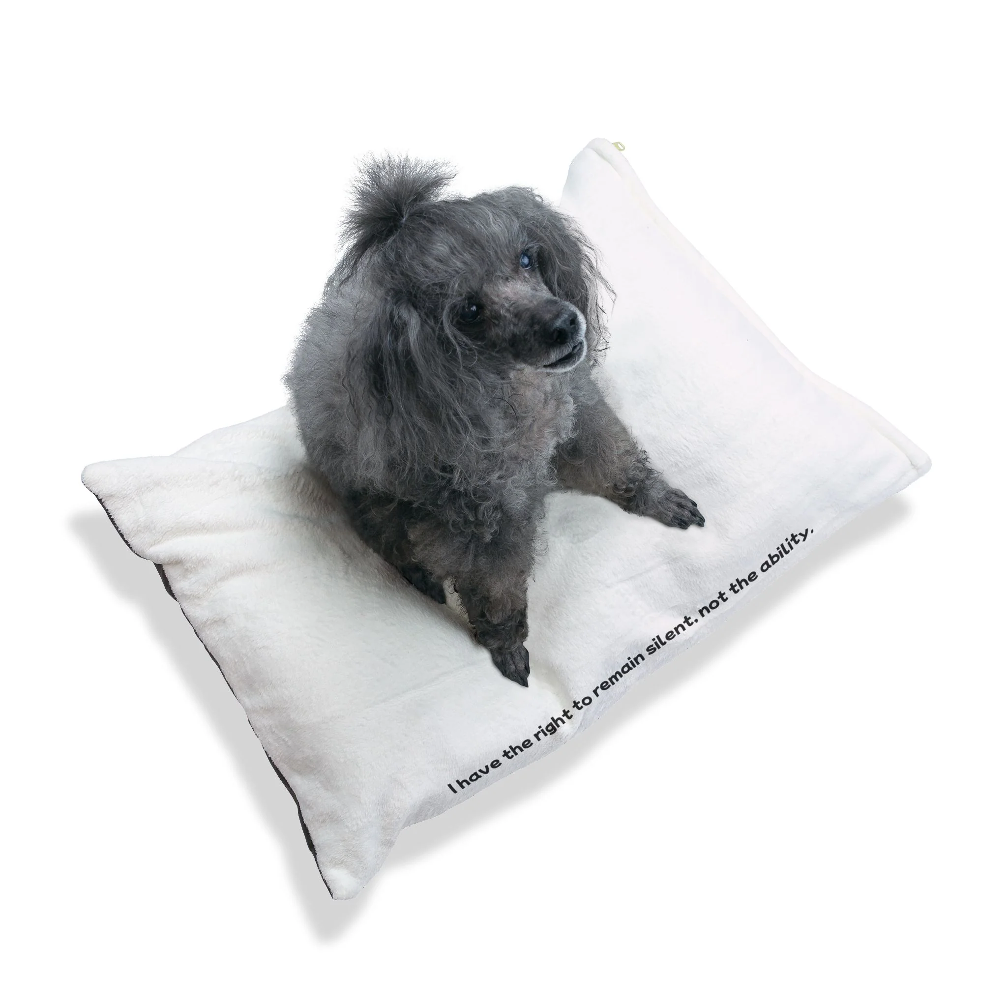 Right to Remain Silent, Not the Ability Pet Bed with Humorous Quote - Perfect for Dog Lovers - Image 9